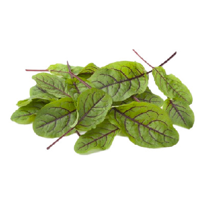 Lá Nhút Chua Vân Đỏ 12g (Lá Sorrel) Đà Lạt