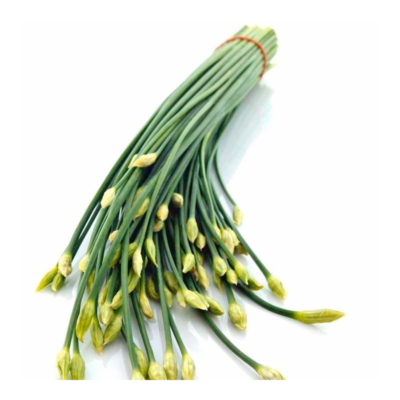 Bông Hẹ