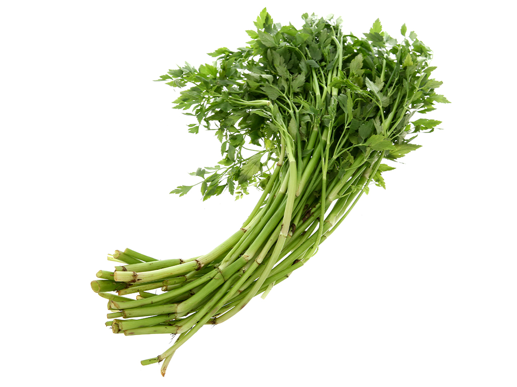 Cần Nước Miền Tây