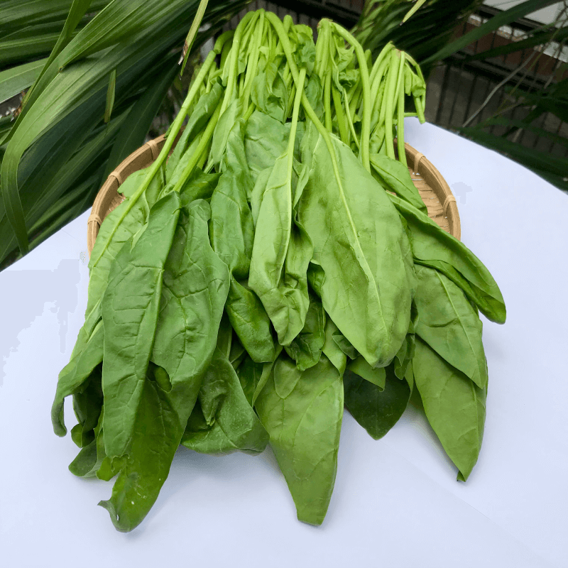 Cải Bó Xôi KAMEREO