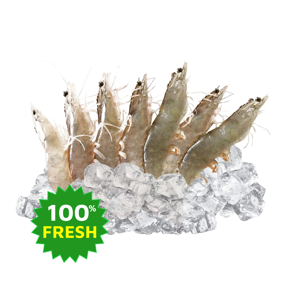 Tôm Thẻ Tươi (Ướp Đá) Size 36 - 40 1kg