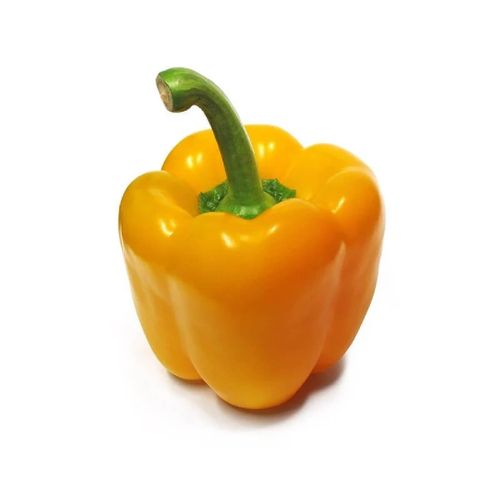 Ớt Chuông Vàng Đà Lạt