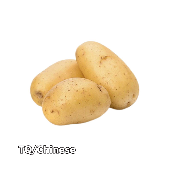 Khoai Tây Cỡ Vừa