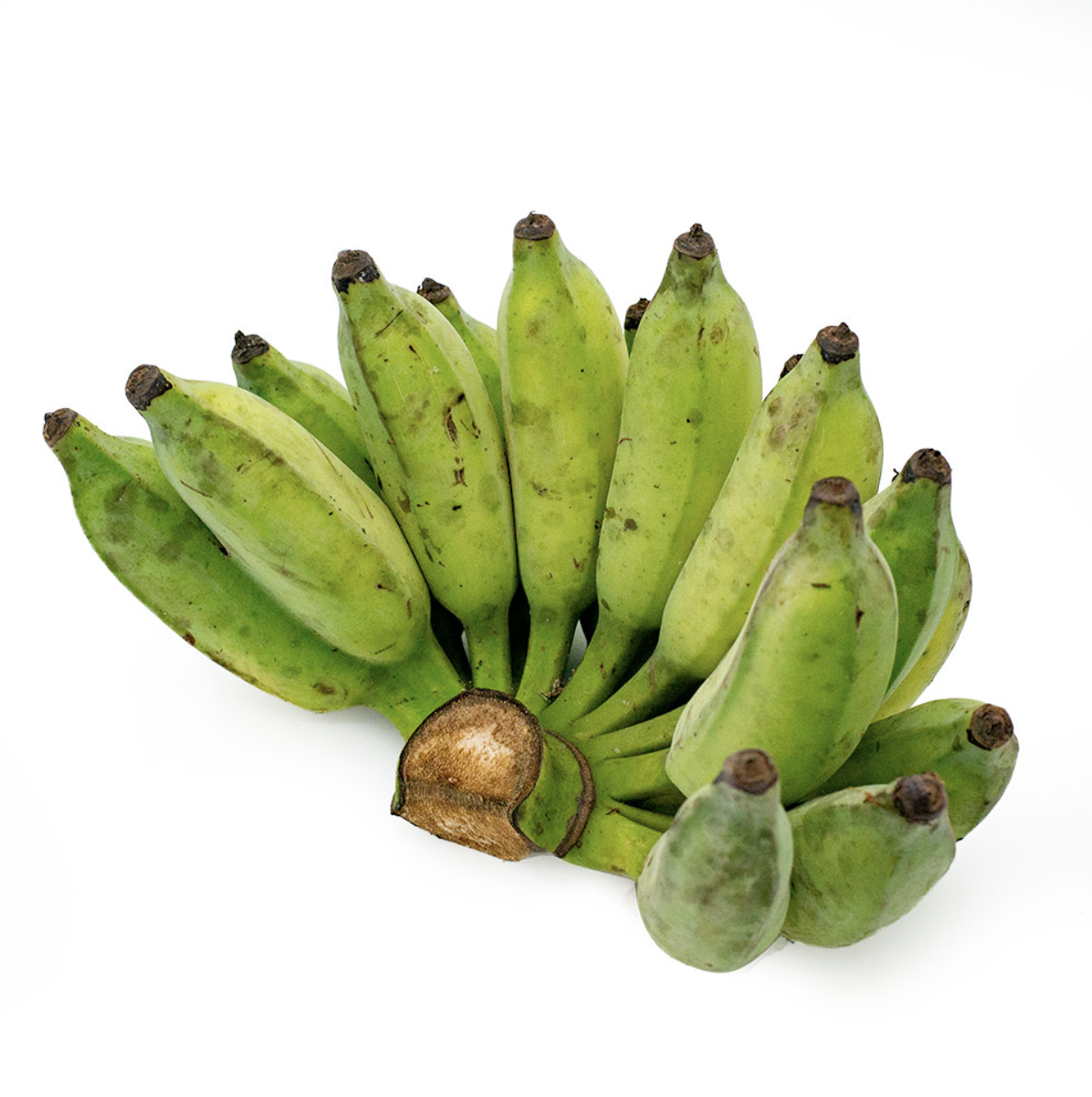 Chuối Sứ Miền Tây