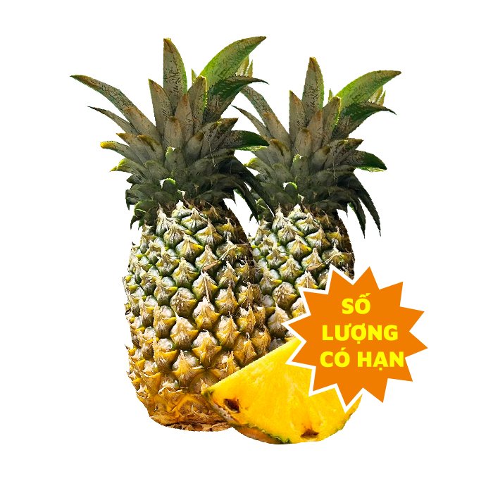 Thơm Nguyên Trái Ngả Vàng
