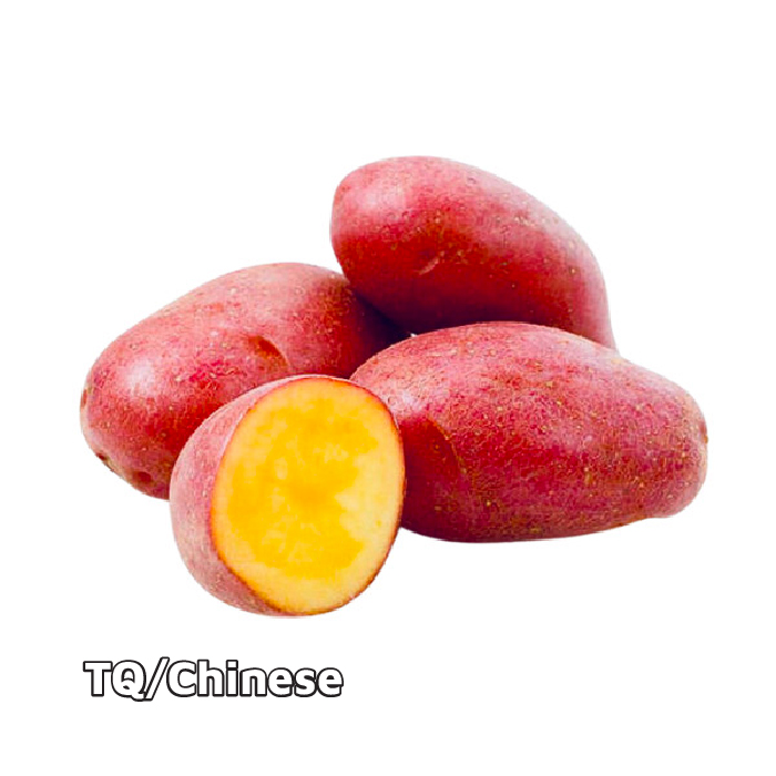 Khoai Tây Hồng Cỡ Lớn