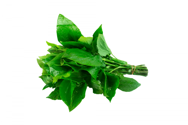 Lá Lốt Miền Tây