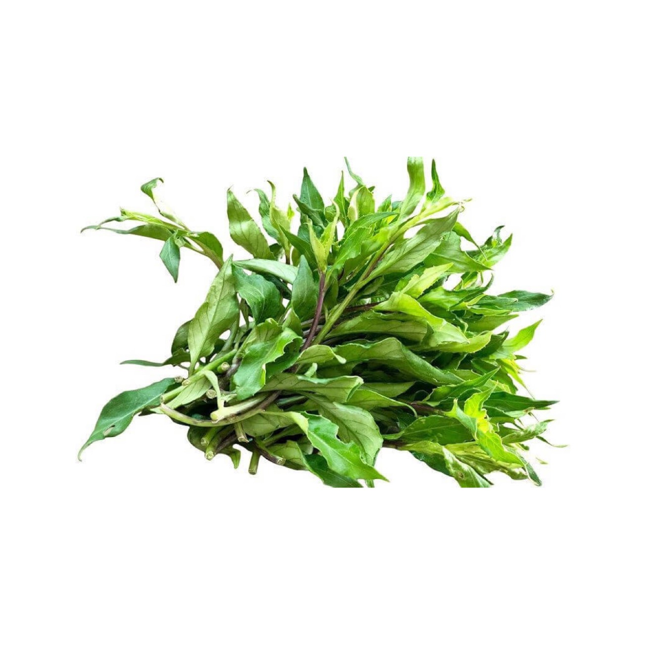 Rau Rừng Gia Lai
