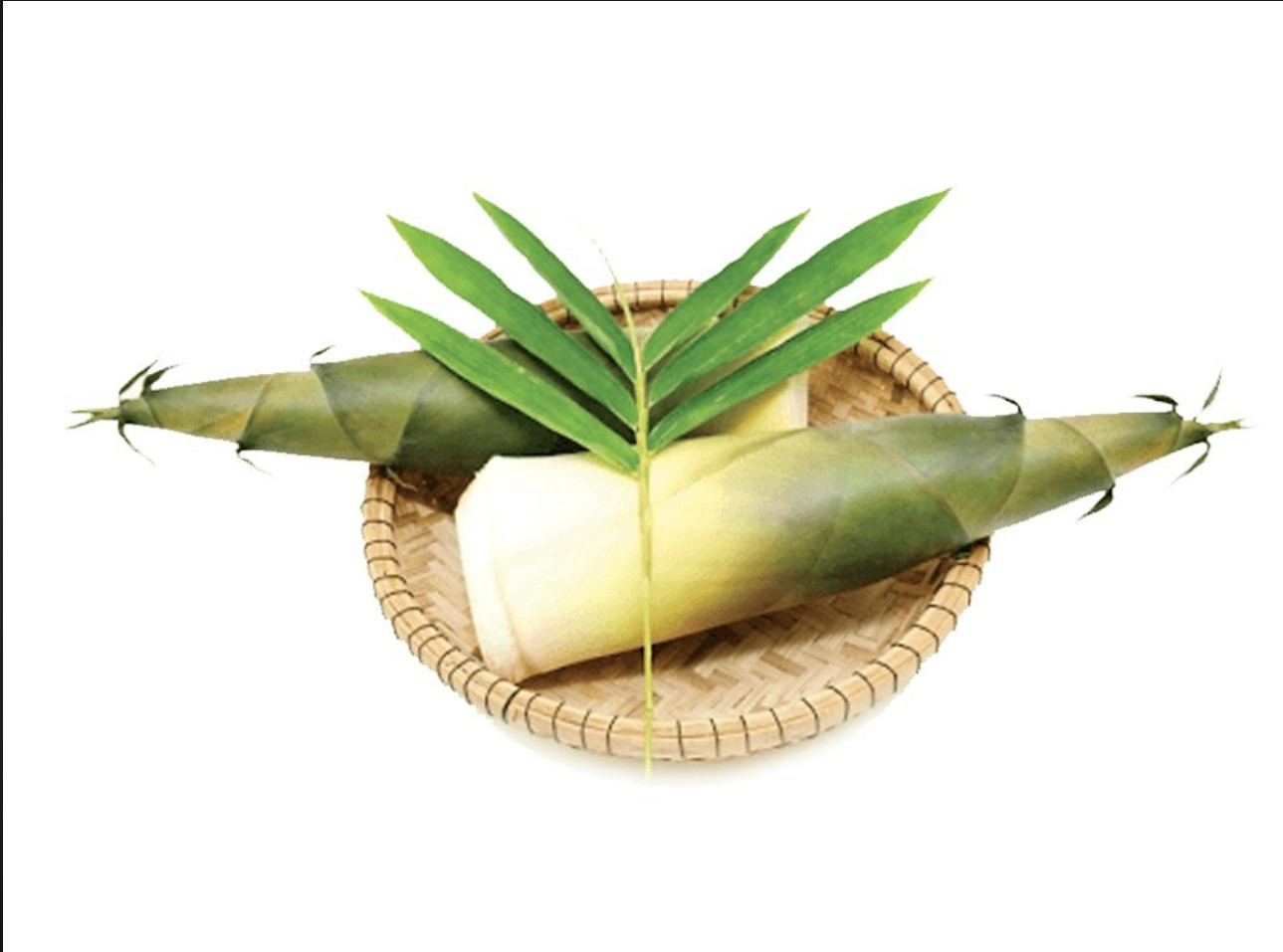 Búp Măng Tươi Miền Tây