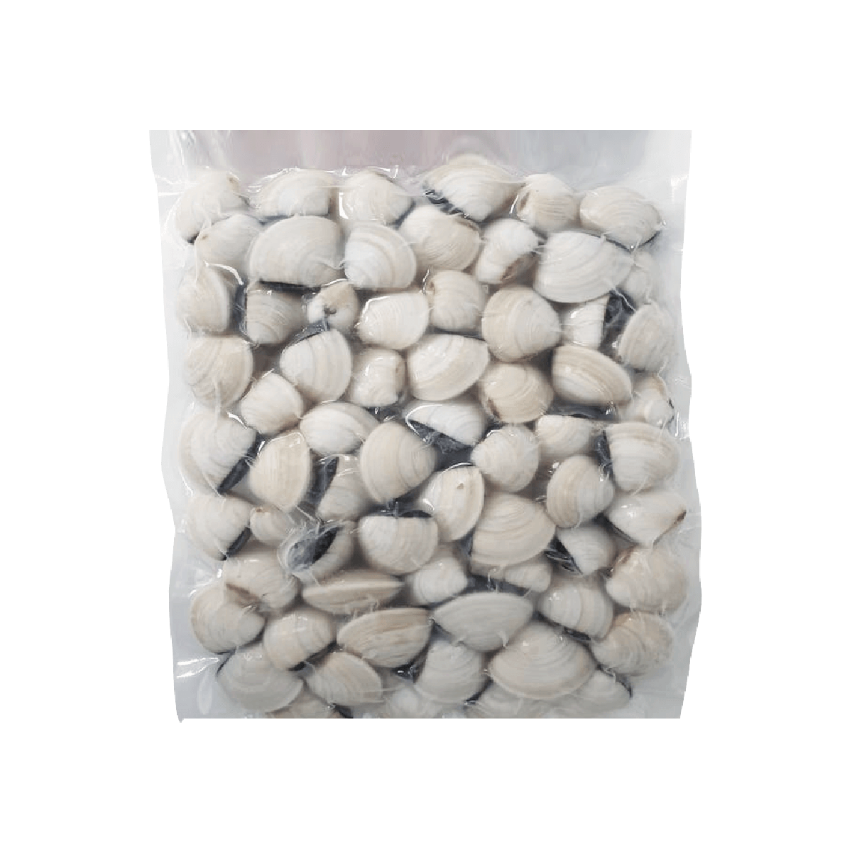 Nghêu Trắng Nguyên Vỏ Đông Lạnh Size 40 - 60 Con 1kg