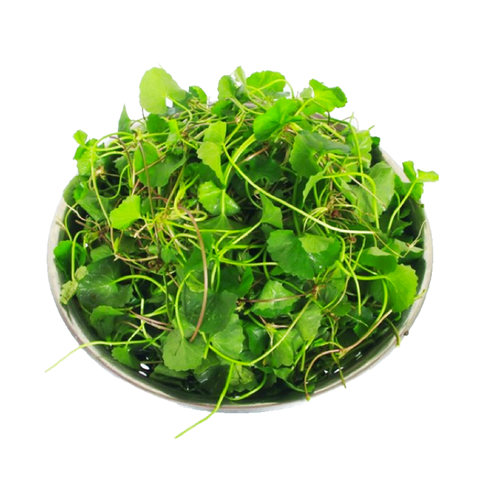 Rau Má Lá Nhỏ Miền Tây