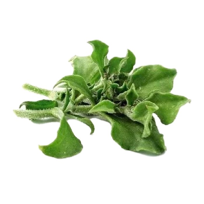 Xà Lách Tuyết Đà Lạt 200g