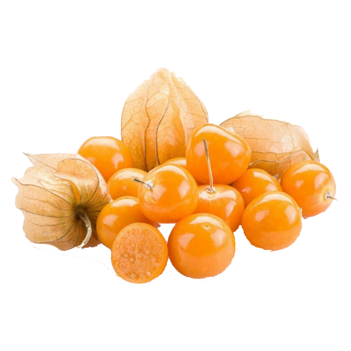 Thù Lù 500g (Tầm Bóp)