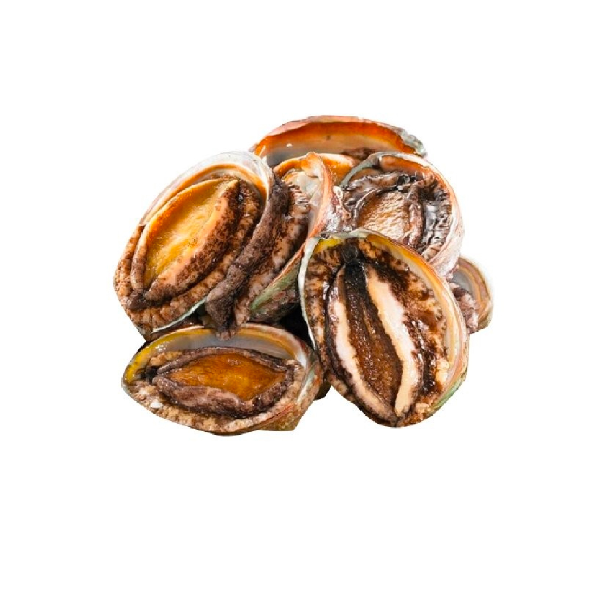 Frozen Korean Abalone Size 10 Pieces 1kg