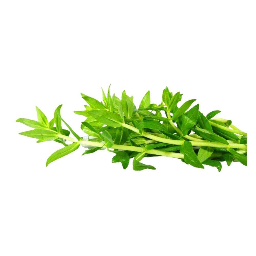 Ngò Ôm (Rau Ngổ) Miền Tây