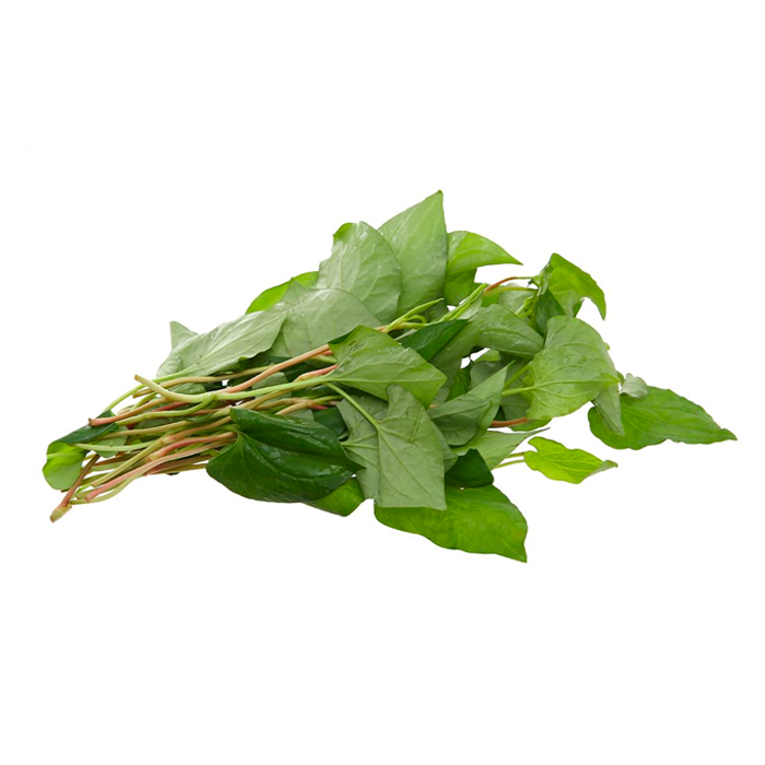 Rau Diếp Cá Miền Tây