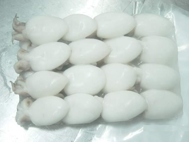 Mực Nang Đông Lạnh Size 20 - 30 Con 1kg