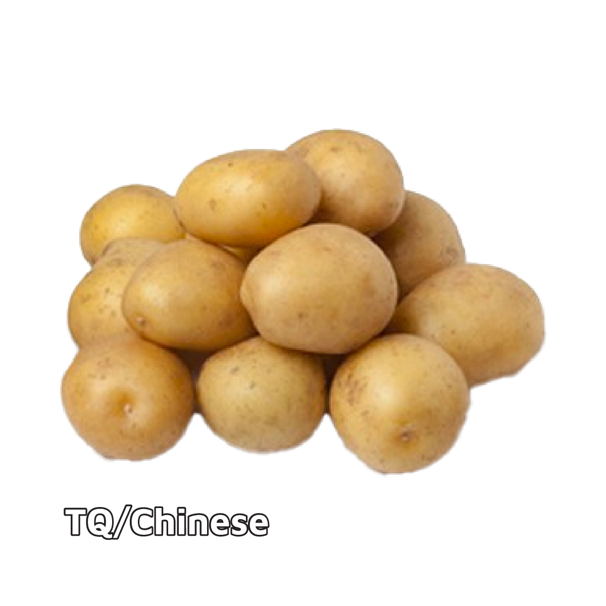 Khoai Tây Bi