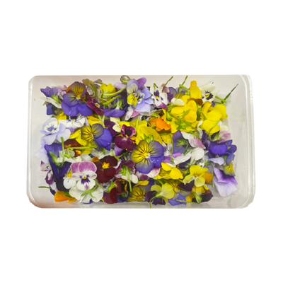 Hoa Trang Trí Violet Hộp 12g