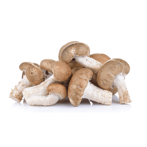 Nấm Đông Cô (Gói 175 - 200g)