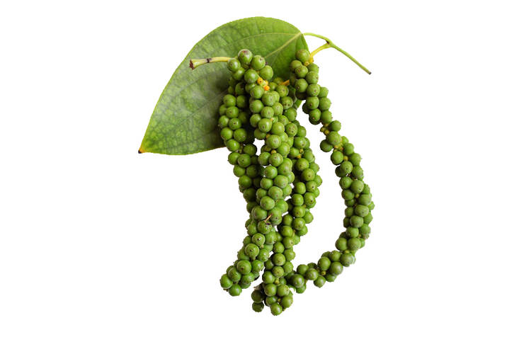 Green Peppercorn