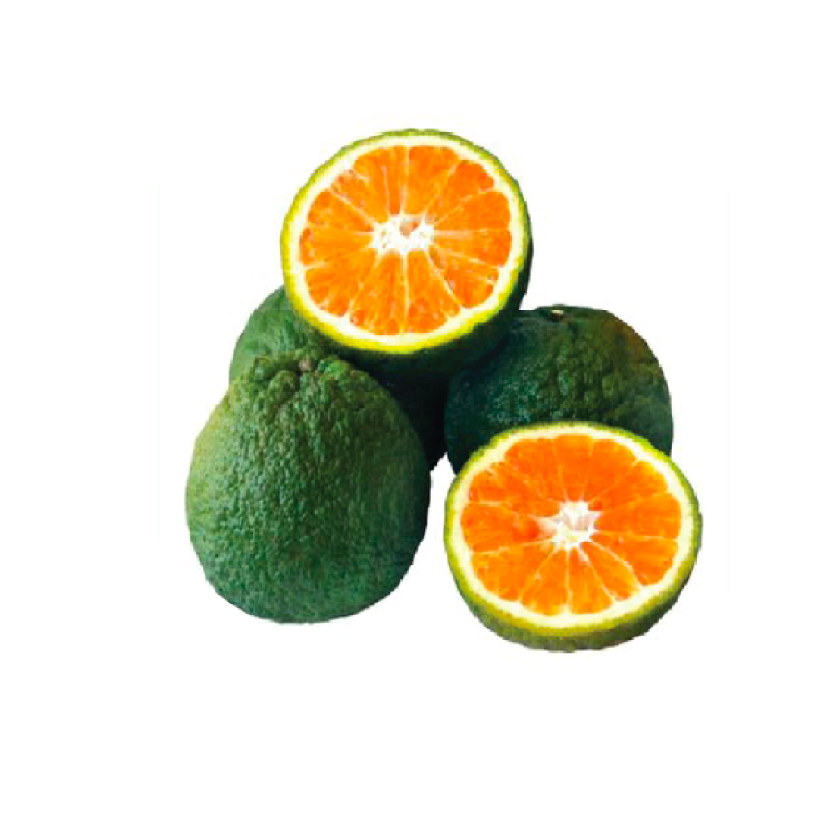 Green Orange 3 - 4 Pieces/ Kg