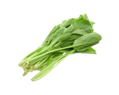 Cải Ngọt Bắc