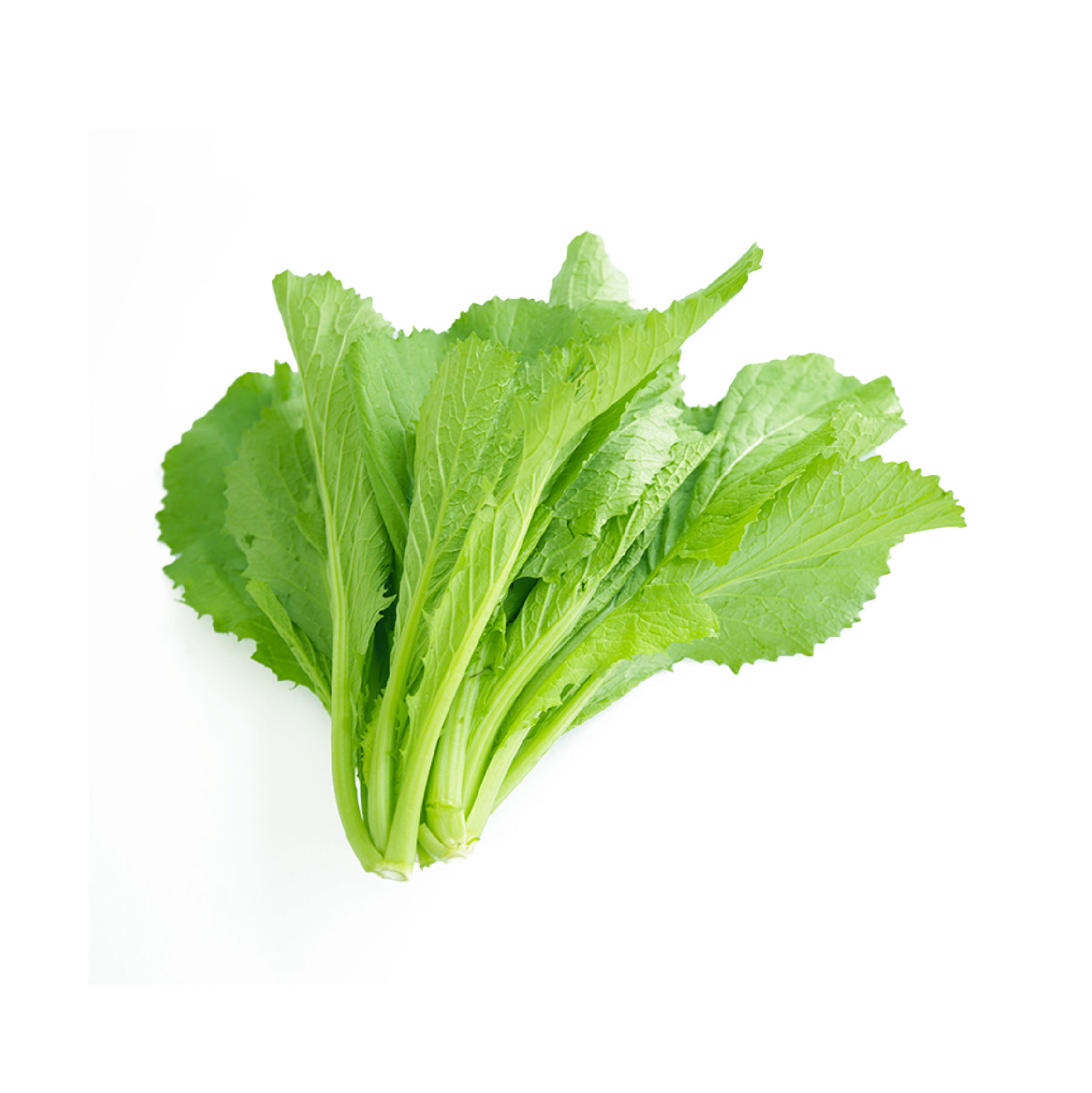 Cải Xanh Miền Tây