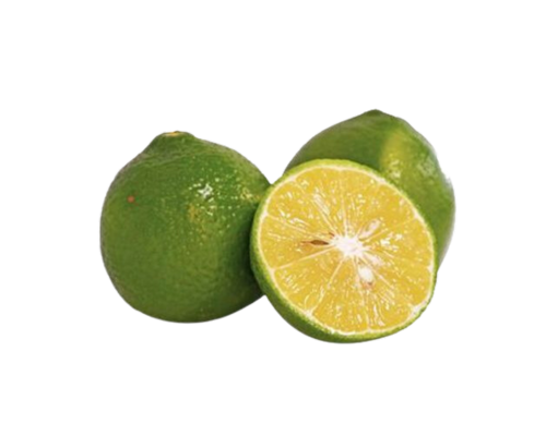 Chanh Có Hạt Bắc