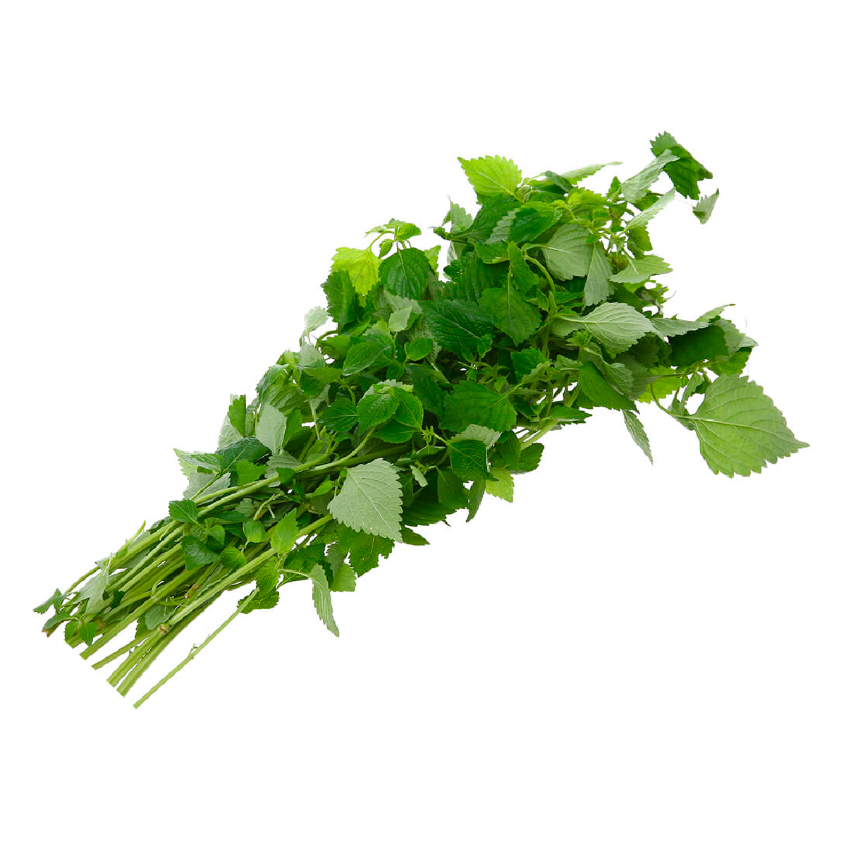 Kinh Giới Miền Tây