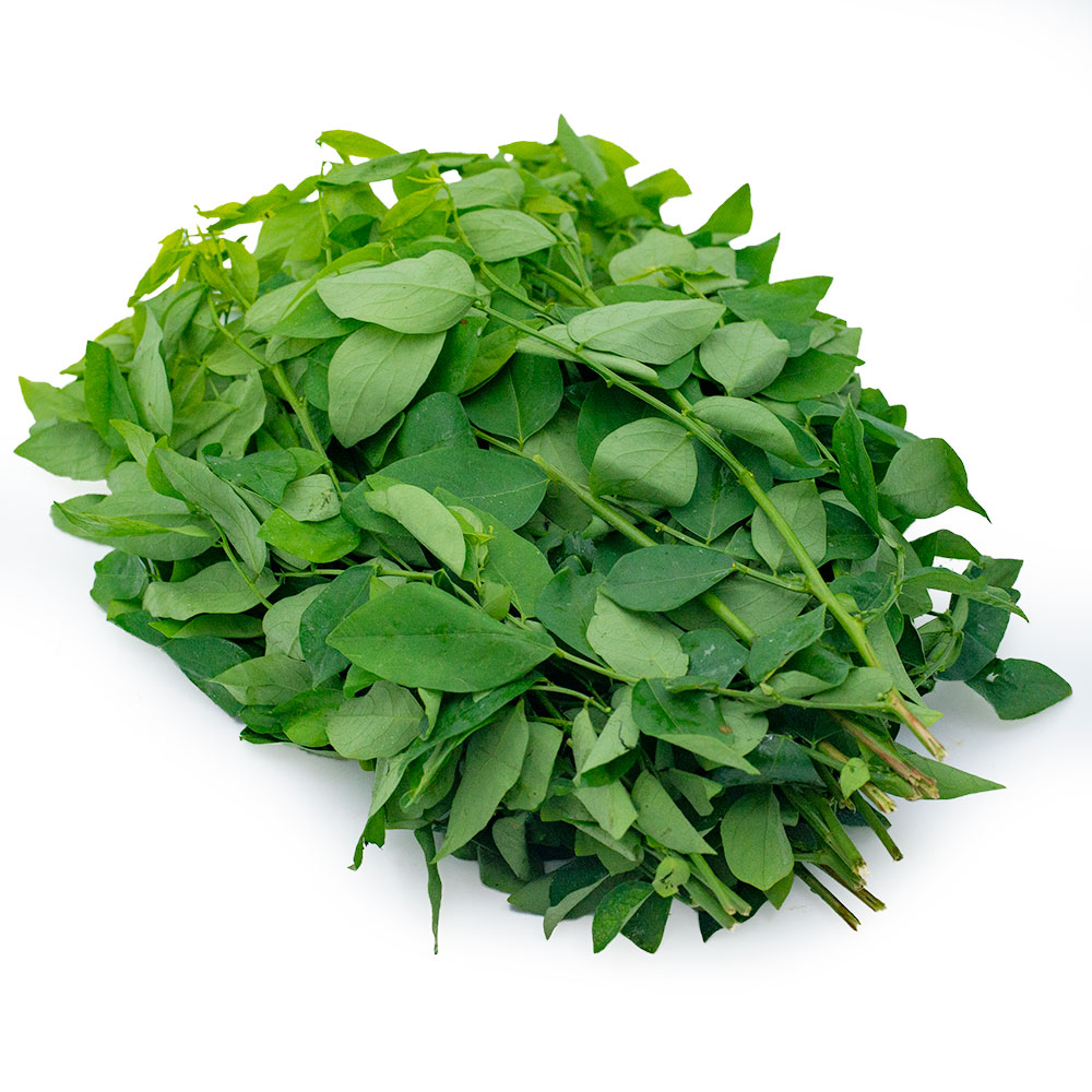 Rau Ngót Miền Tây