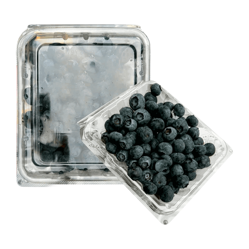Blueberry USA Box 125g | KAMEREO
