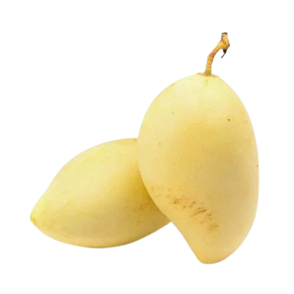 Xoài Cát Chu Vàng Miền Tây