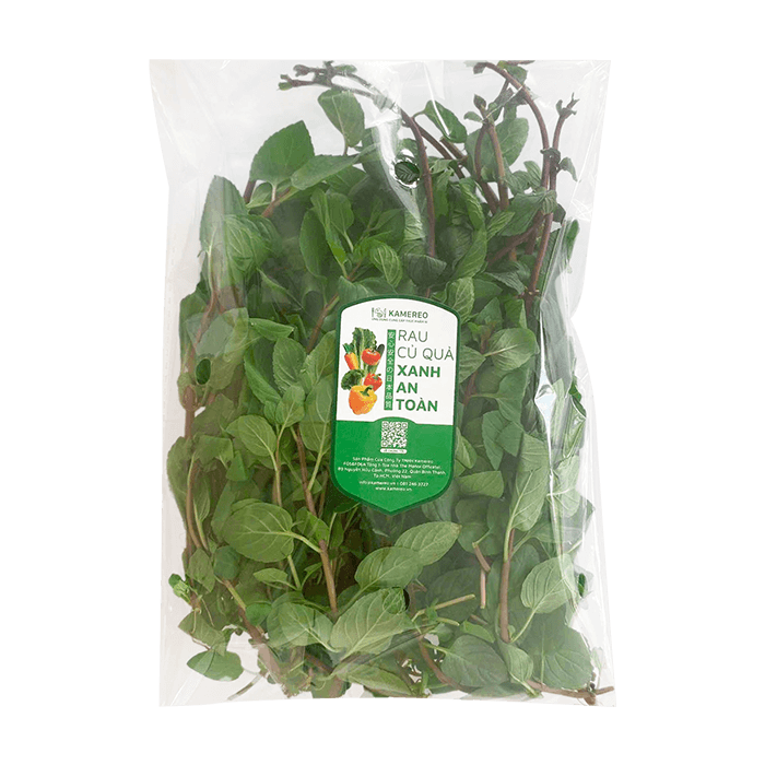 Bạc Hà Socola (Chocolate Mint) 100g