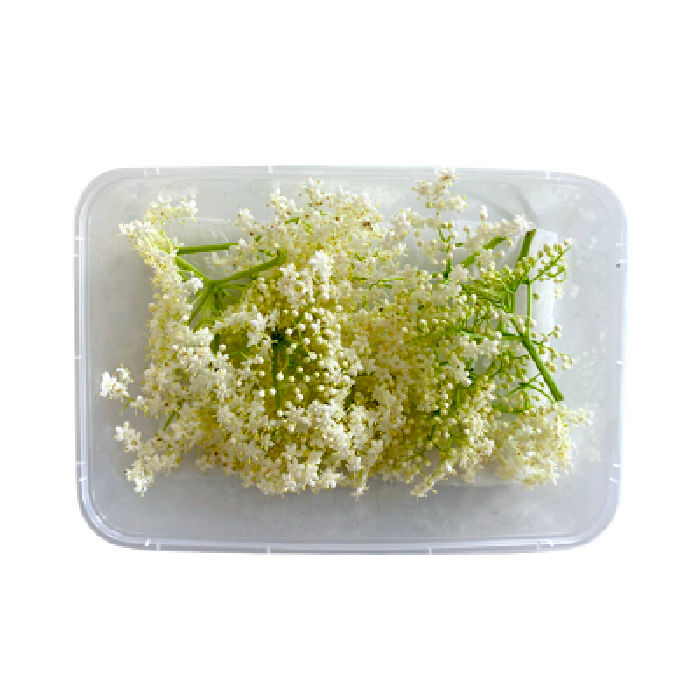 Hoa Cơm Cháy Hộp 12g