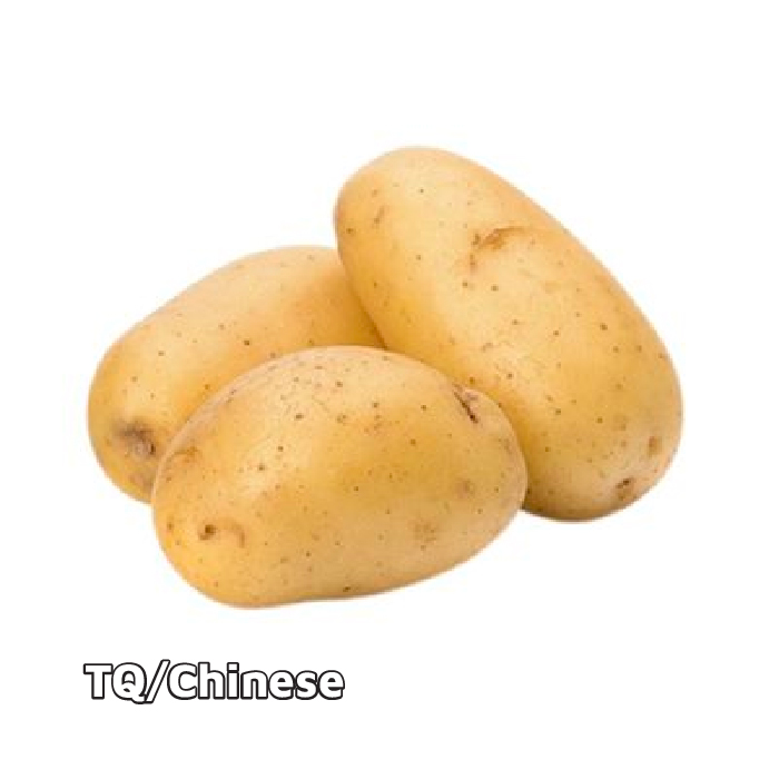 Khoai Tây Cỡ Lớn