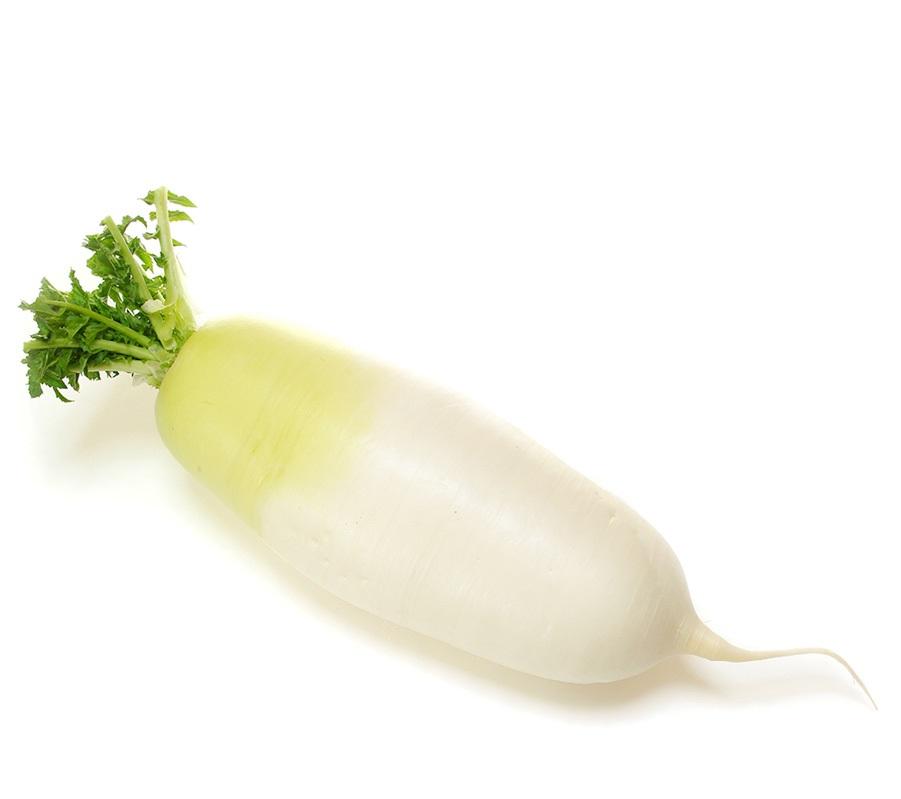 Korean Radish