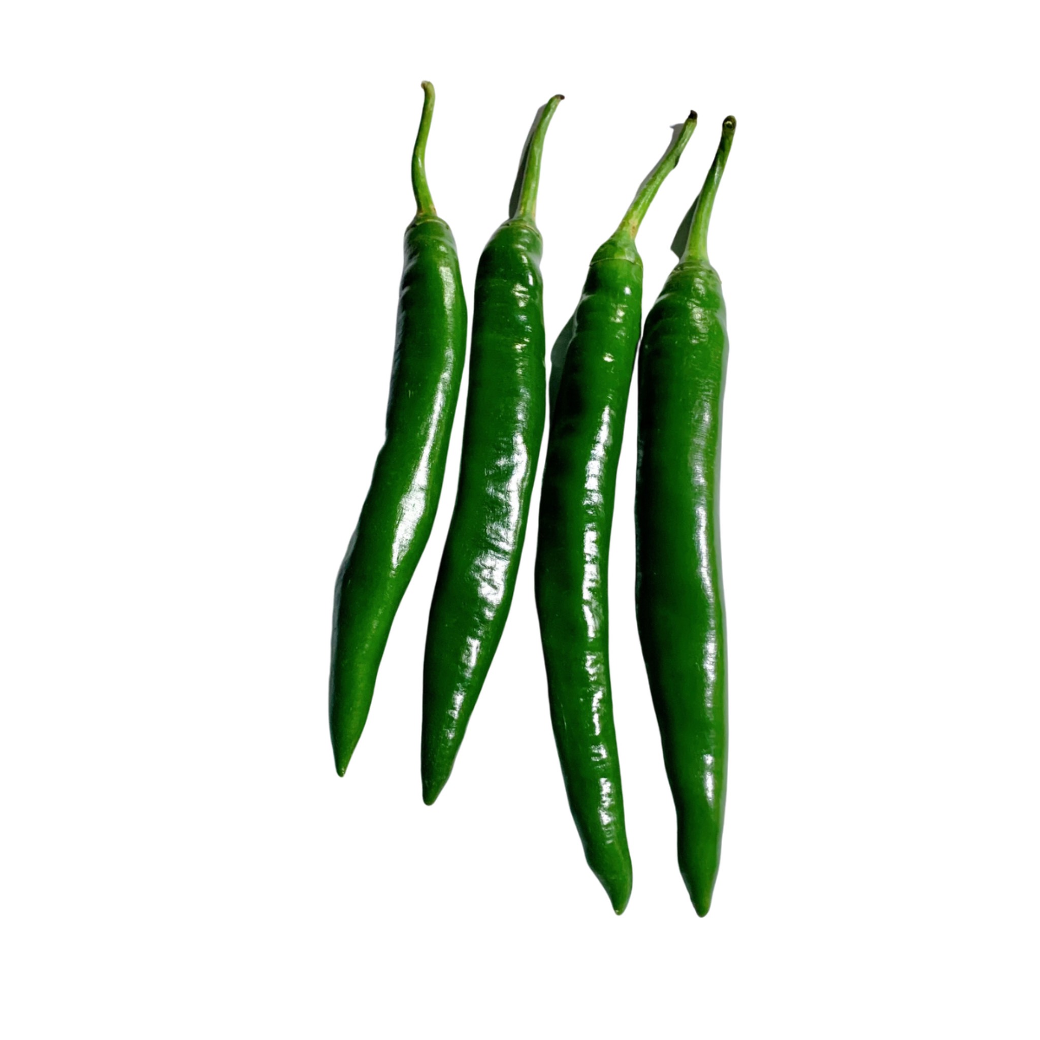 Ớt Sừng Xanh