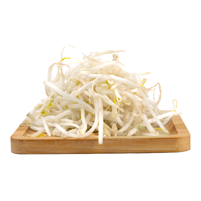 Bean Sprout