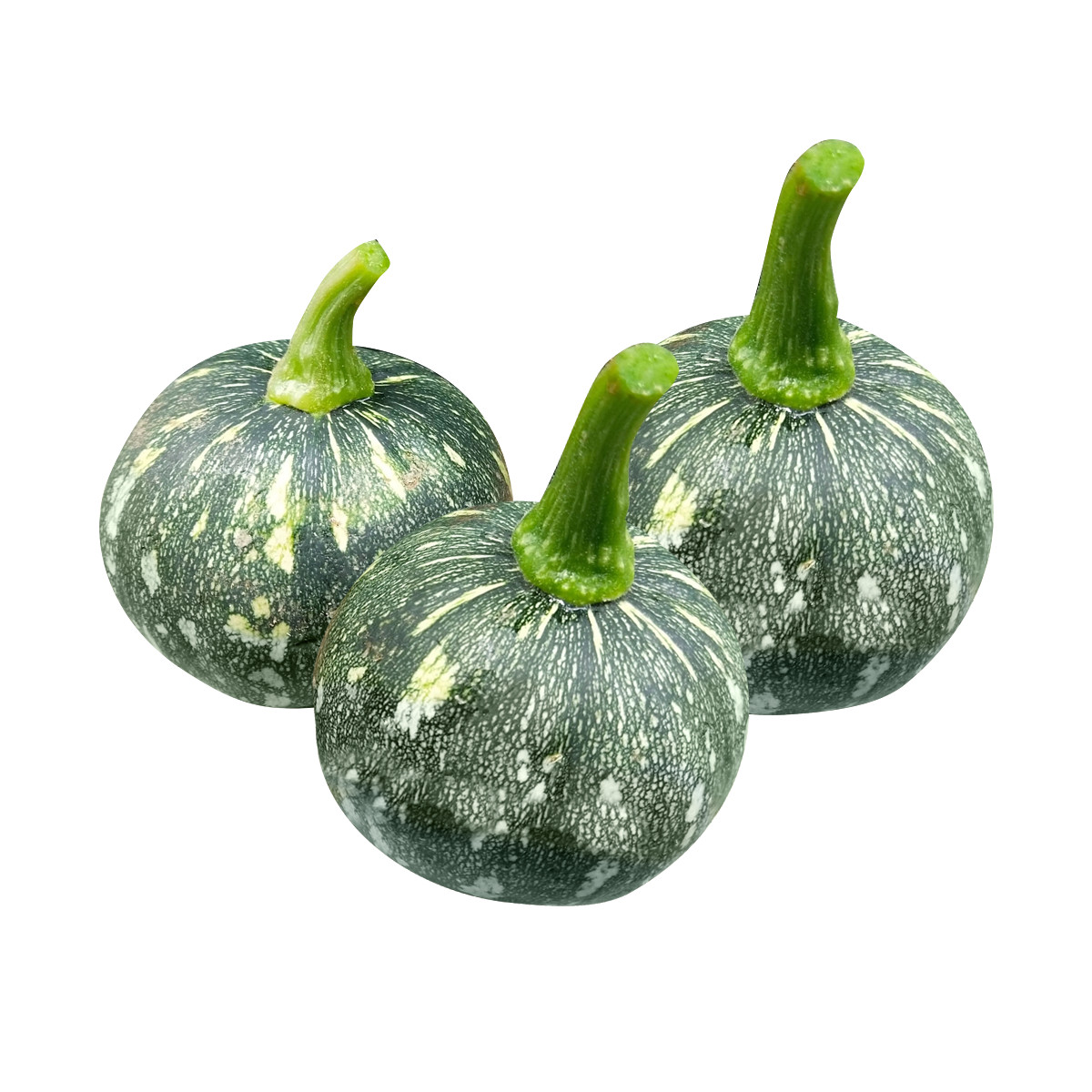 Bí Đỏ Non
