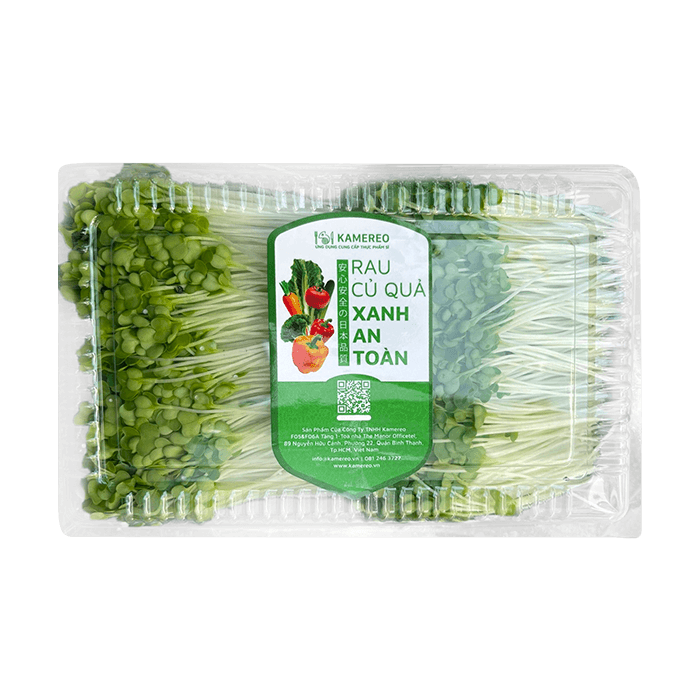 Green Broccoli Sprout 150g/ Box