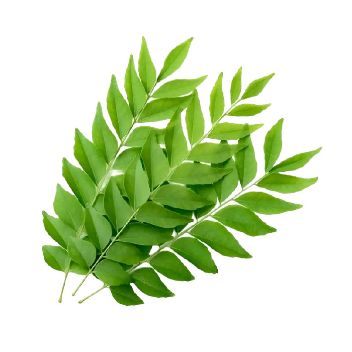 Lá Cà Ri Miền Tây