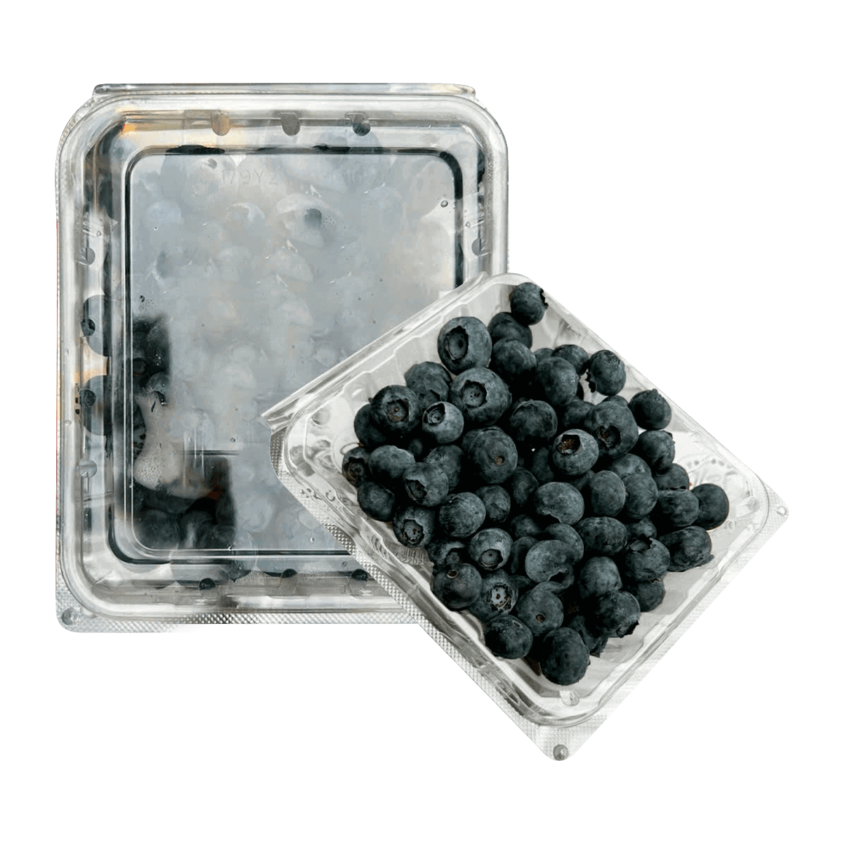Việt Quất Mỹ Hộp 125g
